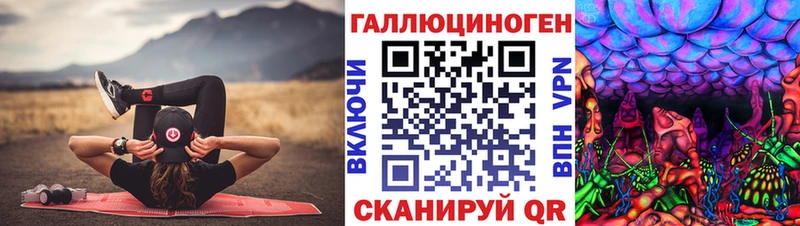 хочу   Новошахтинск  Галлюциногенные грибы Cubensis 