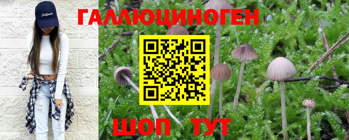 Экстази Новошахтинск