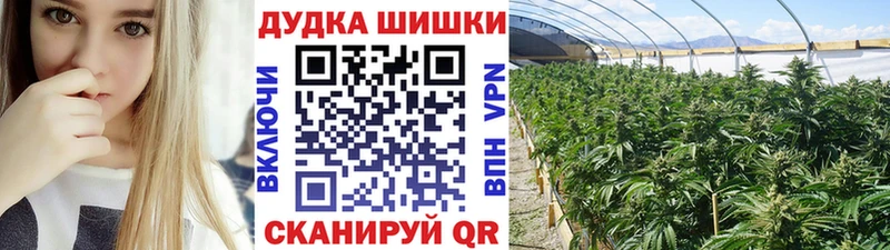 МАРИХУАНА Ganja  ссылка на мегу онион  Новошахтинск  хочу  