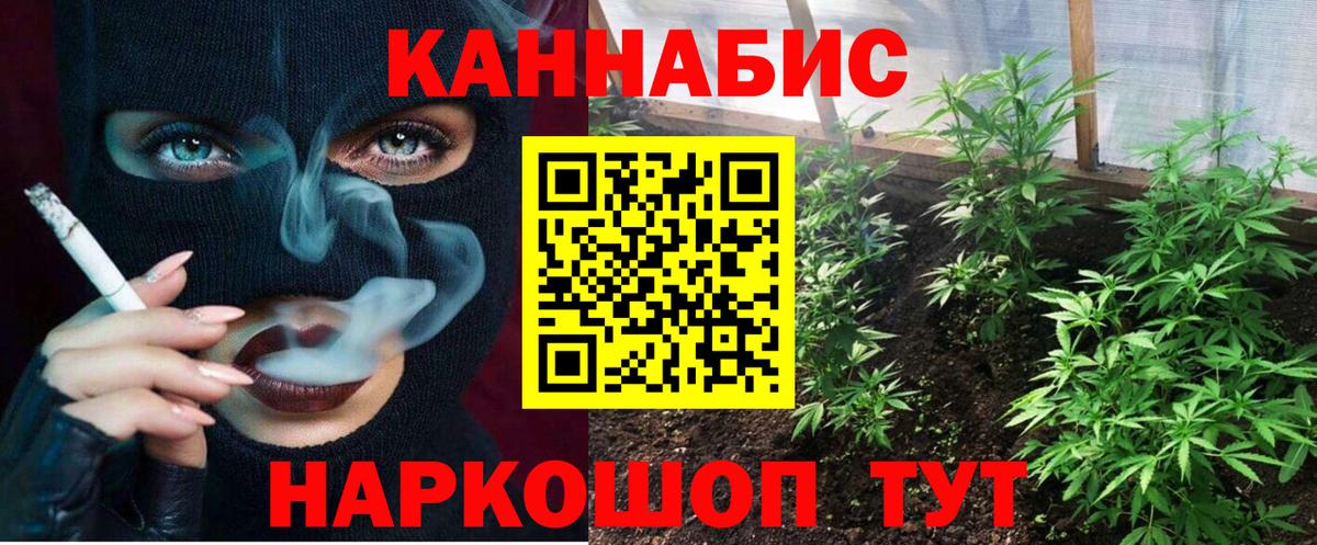 Канабис семена Новошахтинск